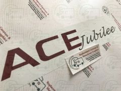 Ace Jubilee Italic Style Caravan Decals