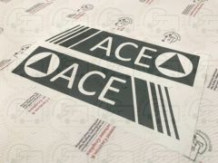 ACE Logo Rectangular Caravan Sticker