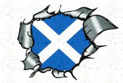 Scotland Flag Ripped Metal 