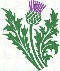 TWO COLOUR scottish THISTLE