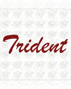 Autosleeper Trident Motorhome Sticker