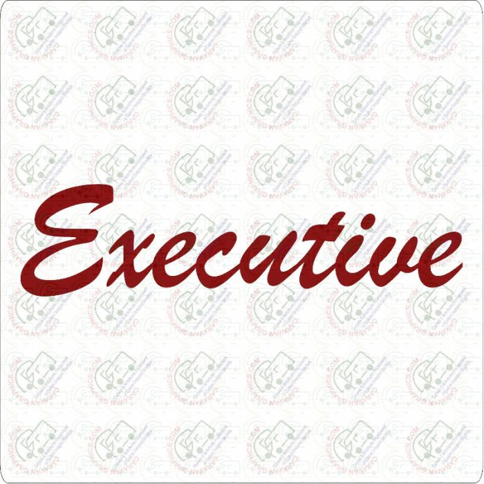 Autosleeper Executive Decal Graphics Sticker