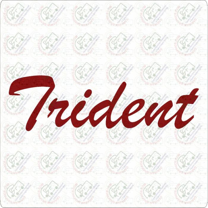 Autosleeper Trident Motorhome Sticker