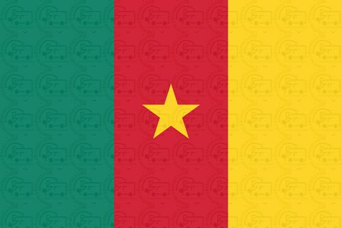 Cameroon flag sticker 