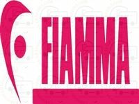 FIAMMA Motorhome Decal