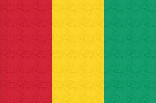 Guniea Flag Sticker