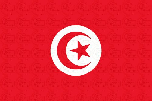 Tunisia flag sticker